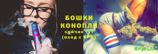 ПСИЛОЦИБИНОВЫЕ ГРИБЫ Верея