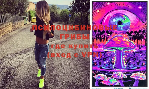 ПСИЛОЦИБИНОВЫЕ ГРИБЫ Верея