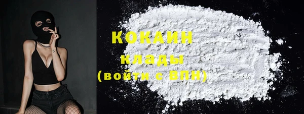 ПСИЛОЦИБИНОВЫЕ ГРИБЫ Верея