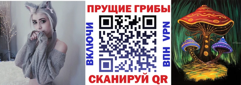 Купить  Дегтярск  Псилоцибиновые грибы мицелий 